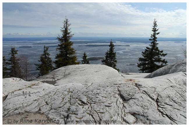 Mountain Koli